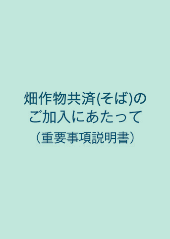 NOSAI畑作物共済（そば）（重要事項説明書）